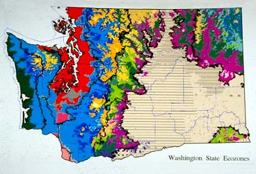 Ecozone of Washington